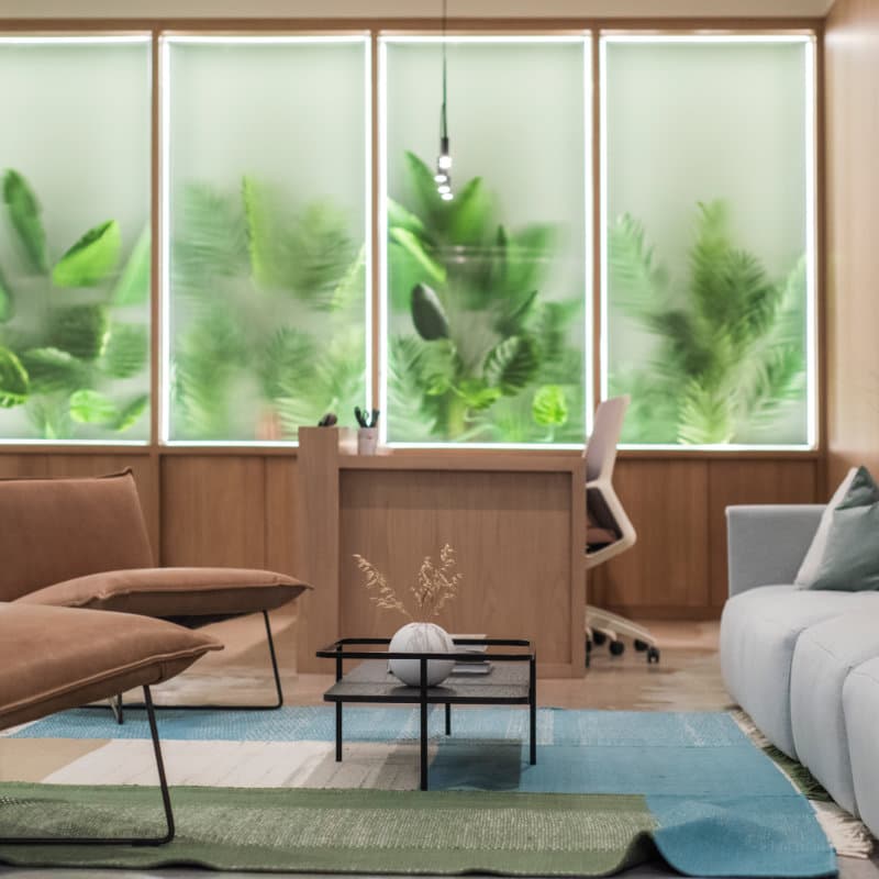 Modern, new work office with a wall of plants